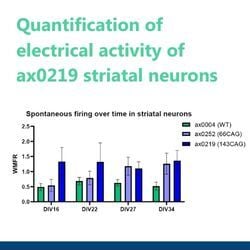 Advancing Huntington’s disease research with physiologically relevant models